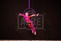 1. Aerial hoop teens 14-16 let