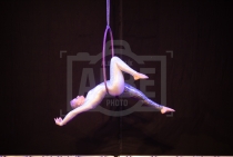 4. Aerial hoop profi
