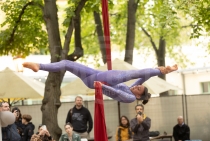 Silks